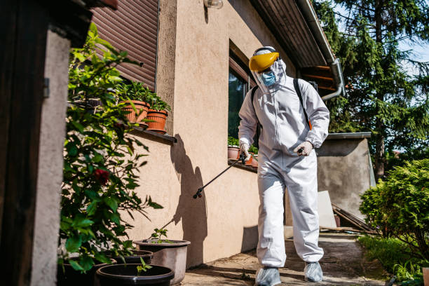 Best Pest Control Near Me in Kingston, NJ