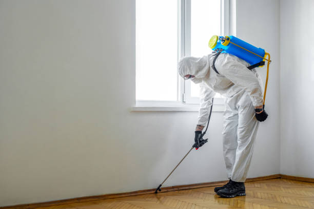 Professional Pest Control in Kingston, NJ