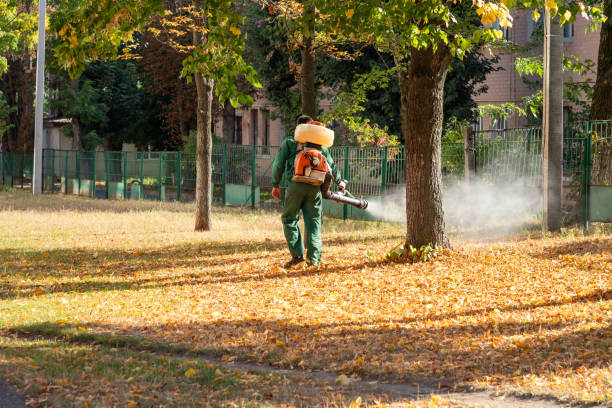 Best Pest Removal Services  in Kingston, NJ