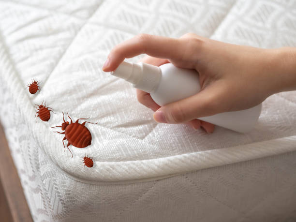 Best Best Pest Control Companies  in Kingston, NJ