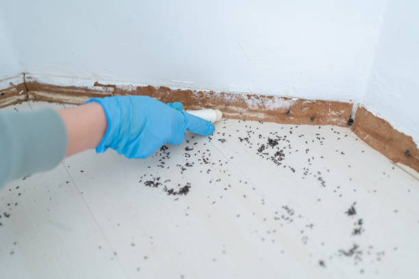 Best Residential Pest Control  in Kingston, NJ