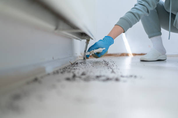 Best Affordable Exterminators  in Kingston, NJ
