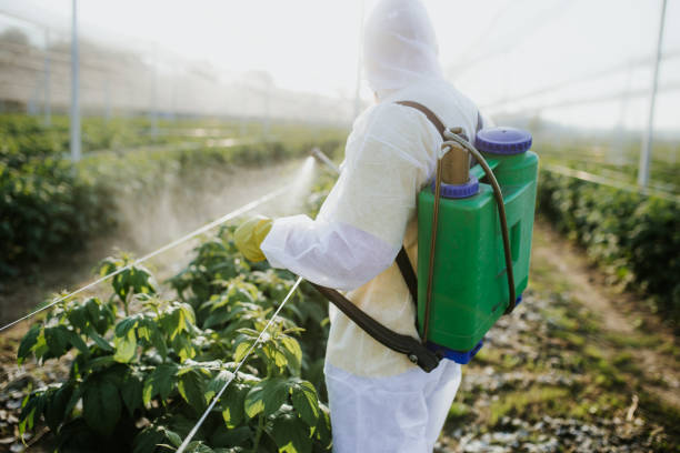 Best Best Pest Control Near Me  in Kingston, NJ